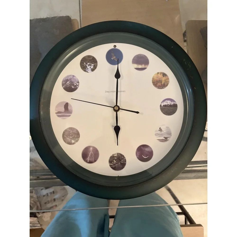 Vintage Discovery Channel Serenity Nature Sounds Wall Clock Tested Works Green